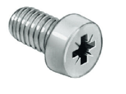 Cheese Head Screw, Galvanized Steel