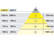 LooxC LED Polar DL 24V/5W 3100K SA