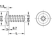 Panel Mnt Scr Flt PZ2 D5.0x27.5mm St Glv