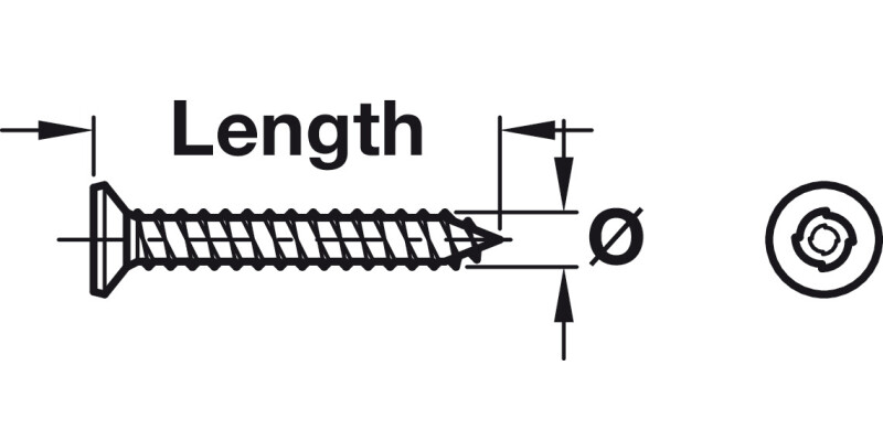 Security Screw Sentinal 1W PZ2 4.2x38mm