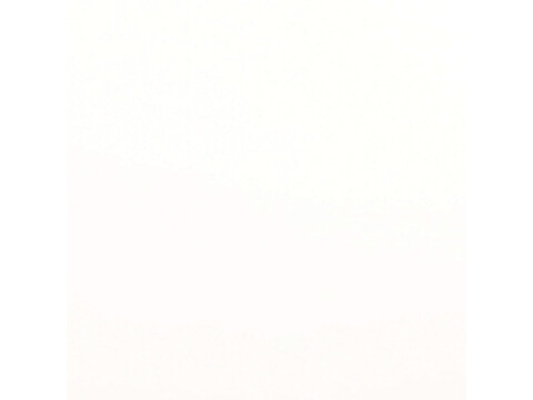 Untitled image