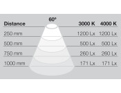 LooxC LED Lineo Lgt SM 24V/5W 4000K SS