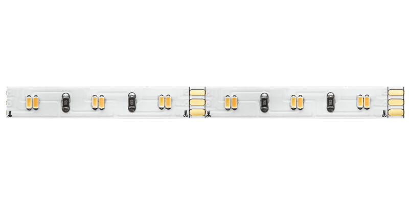 Loox5 LED2064 8mm 50M 12V/4.8W 27-50K