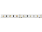 Loox5 LED2064 8mm 50M 12V/4.8W 27-50K