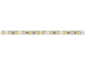 Loox5 LED3040 5mm 5M 24V/4.8W 5000K W