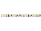 Loox5 LED3050 8mm 5M 24V/9.6W 5000K W