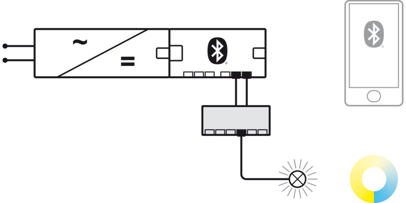 Loox5 Con Msh 6-Way Distr Adp 24V/90W MW
