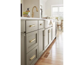 Palladium Pull Hdl ZA Gld Chpg 160mm cc
