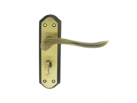 Carlisle Brass Lytham Door Handle on Backplate - Pair