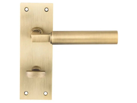 Carlisle Brass Finishes Amiata Door Handle on Backplate - Pair