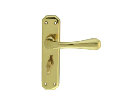Carlisle Brass Eden Door Handle on Backplate - Pair