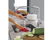 Grohe Essence Tap w PO Spray Br.Hd Graph