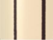 Broad Style Hinge D5x51x29mm Brass PB