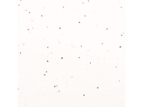 Untitled image
