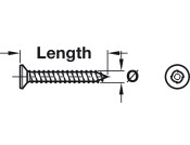 Security Screw Sentinal 1W PZ2 4.2x32mm
