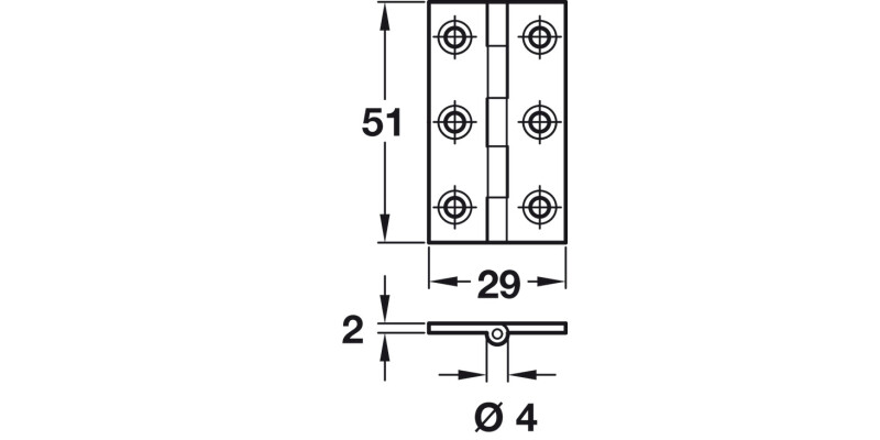 Broad Style Hinge D4x51x29mm Brass Self