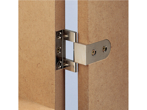 Butt Hinge, Neuform, Brass, for Overlay Doors